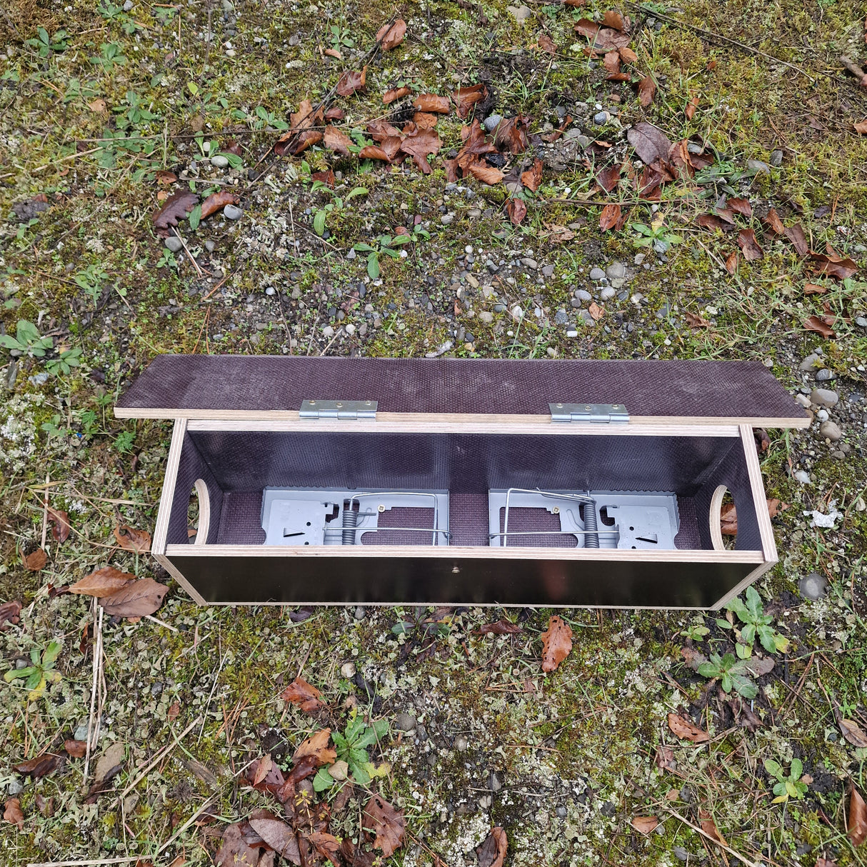 Rattenfalle "Doppelschlag"