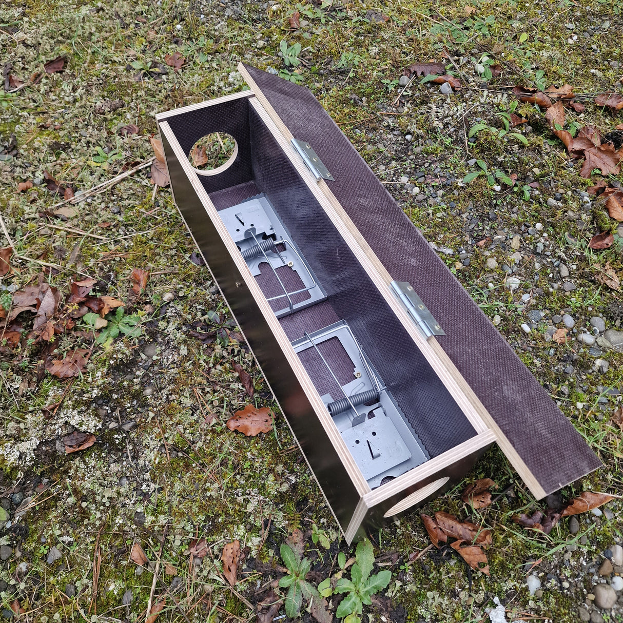 Rattenfalle "Doppelschlag"