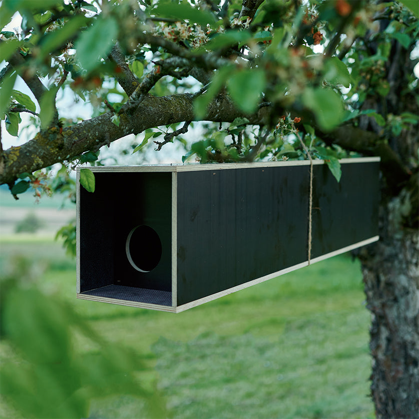 Niströhre Steinkauz