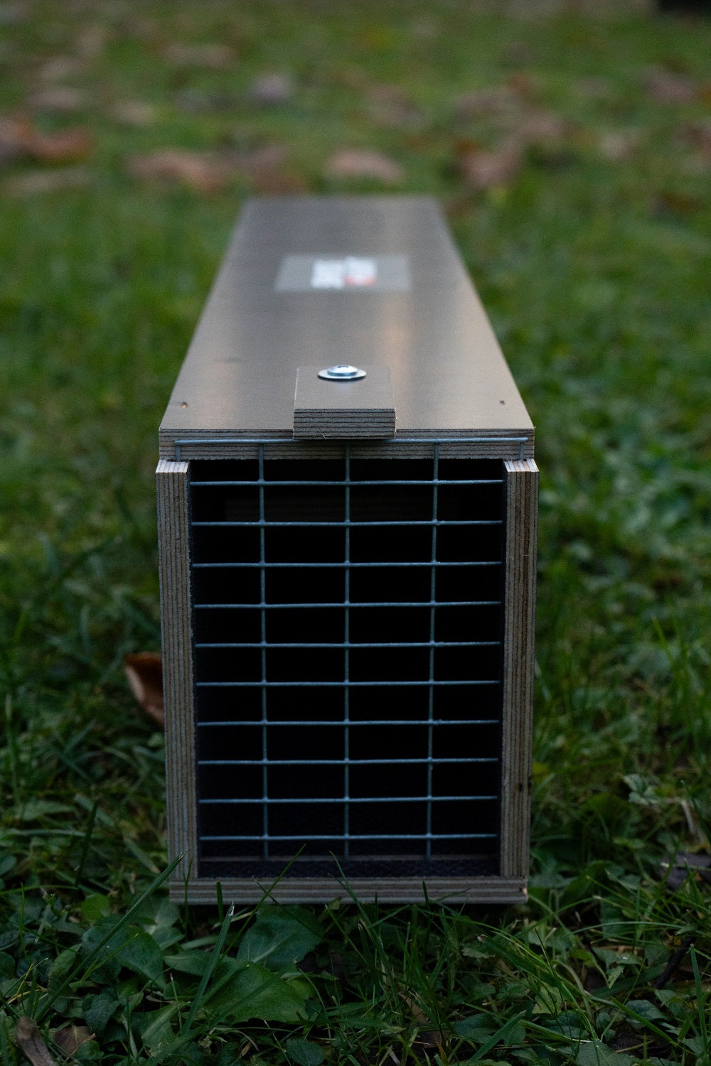 Wieselwippbrettfalle