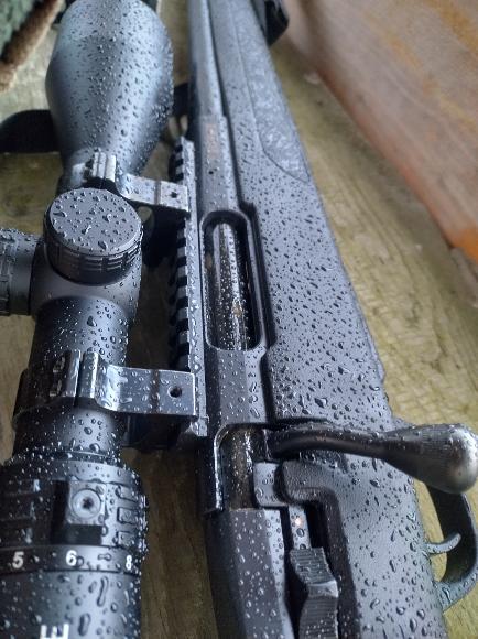 Waffen Korrosionsschutz Gold