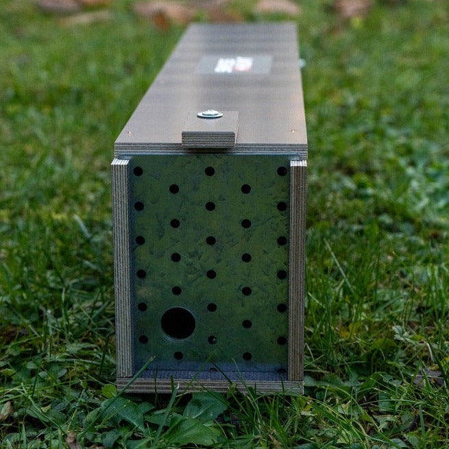 Wieselwippbrettfalle mit Mauswieselöffnung