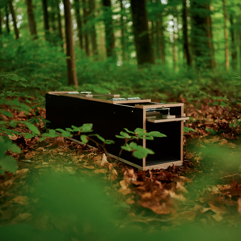 Marderfalle Artemis 110