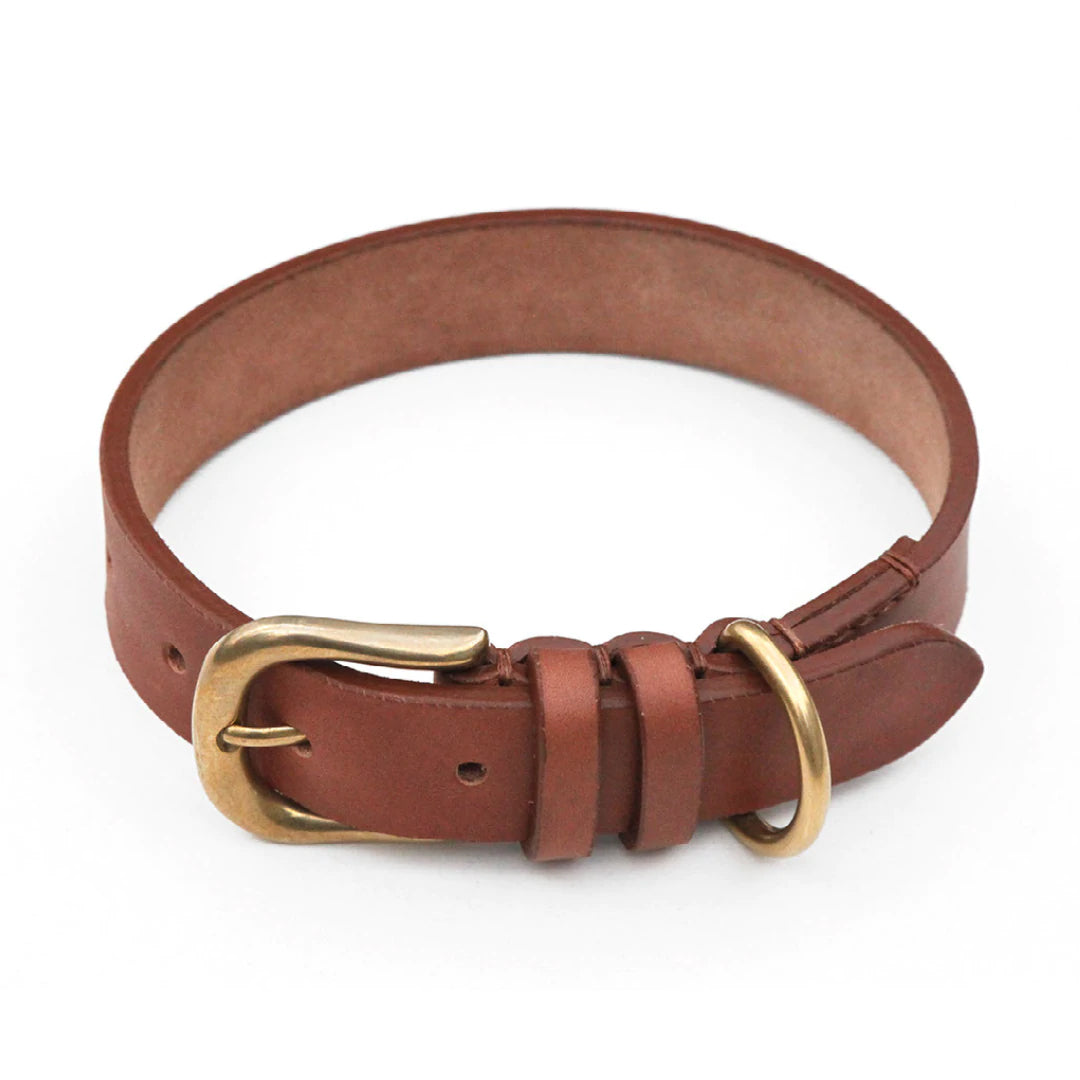 Hundehalsband für Jagdhunde