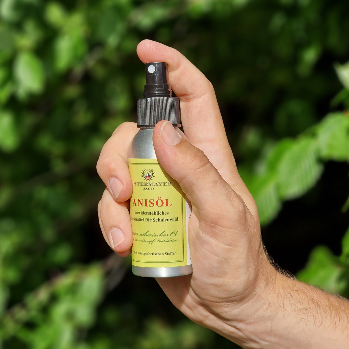 Anisöl 100% ätherisches Öl