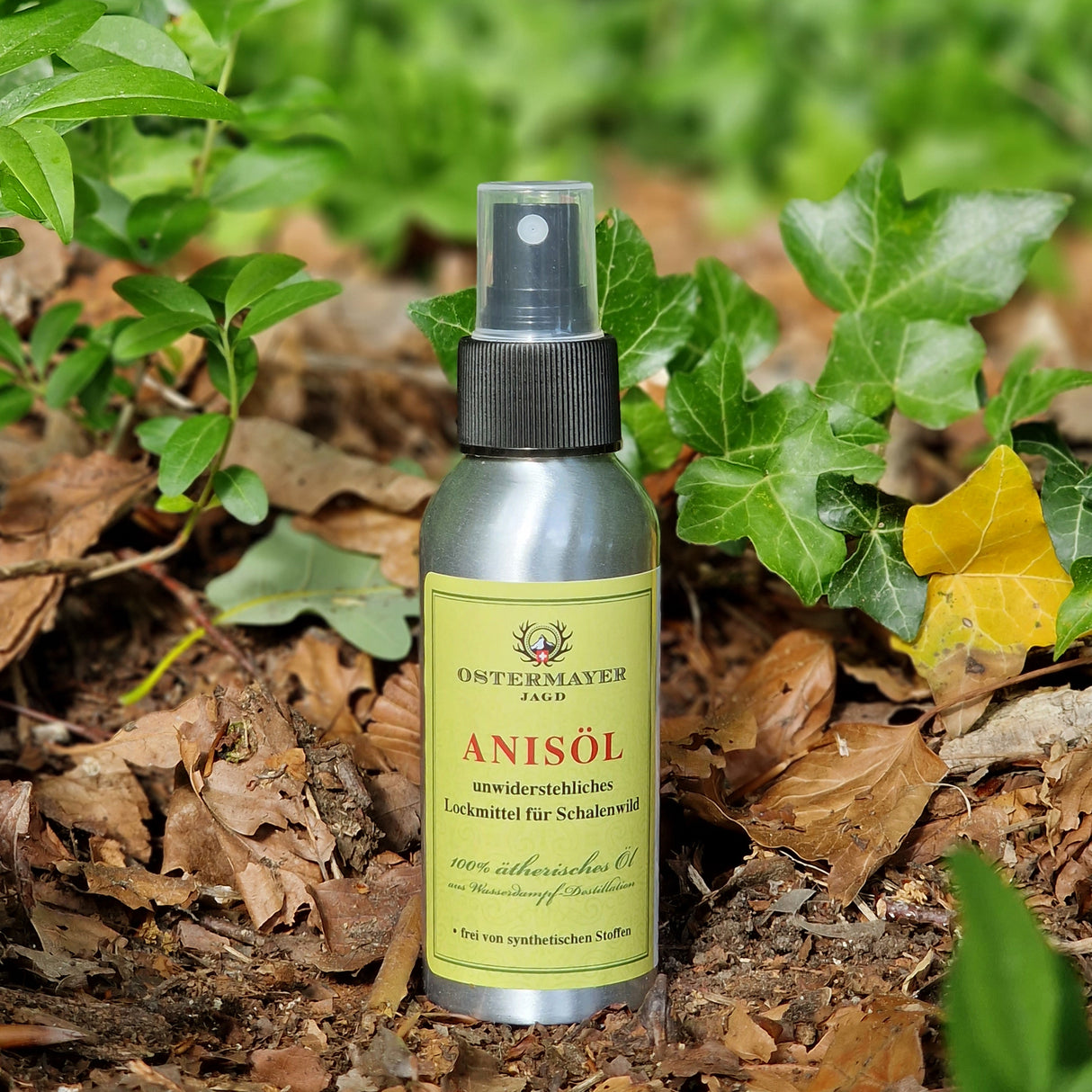 Anisöl 100% ätherisches Öl