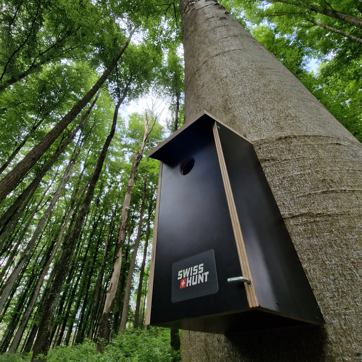 Nistkasten Höhlenbrüter