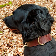 Lade das Bild in den Galerie-Viewer, Hundehalsband aus Rindsleder (Sonderpreis)