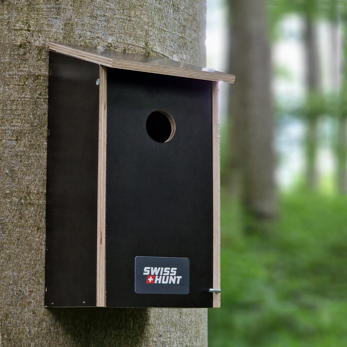 Nistkasten Höhlenbrüter