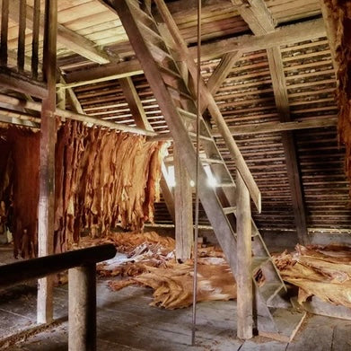Unser altsämisch gegerbtes Hirschleder