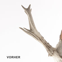 Lade das Bild in den Galerie-Viewer, Gehörnbeize von Ostermayer Jagd. Entwickelt mit dem Präparator Erwin Kappel, der seine Beize über Jahre aus selbst gesammelten grünen Walnussschalen ansetzte.
