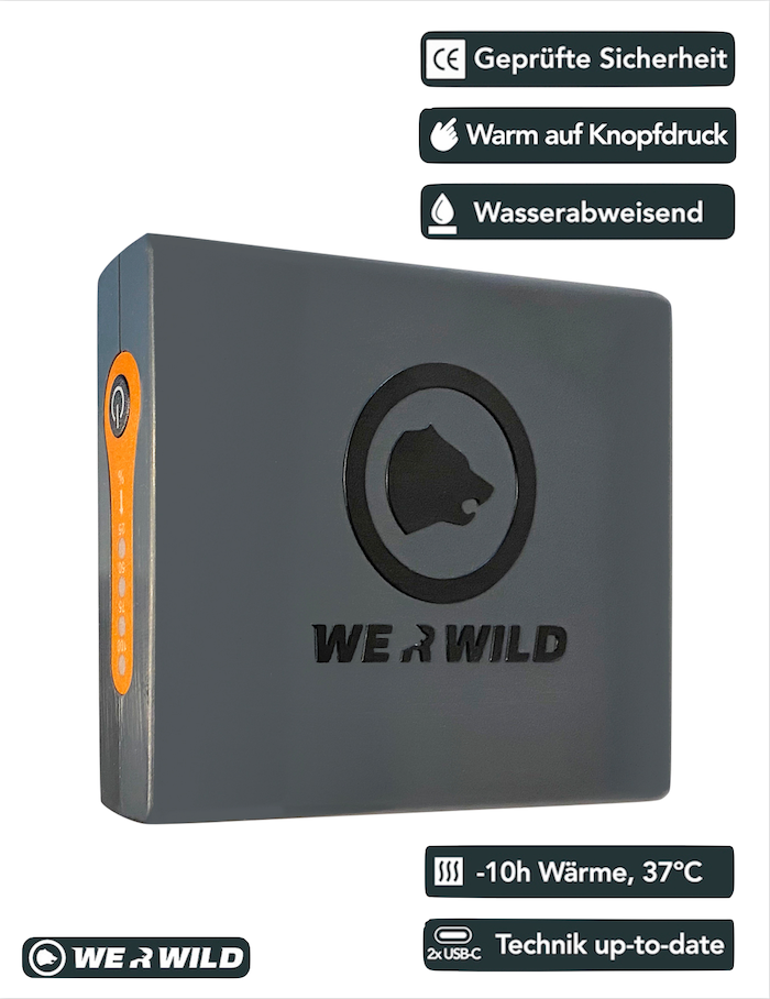 Original Power-Batterie mit zwei USBC-Buchsen, lange Laufzeit, gesunde Wärme