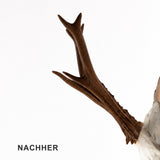 Gehörnbeize nach Erwin Kappel 100ml