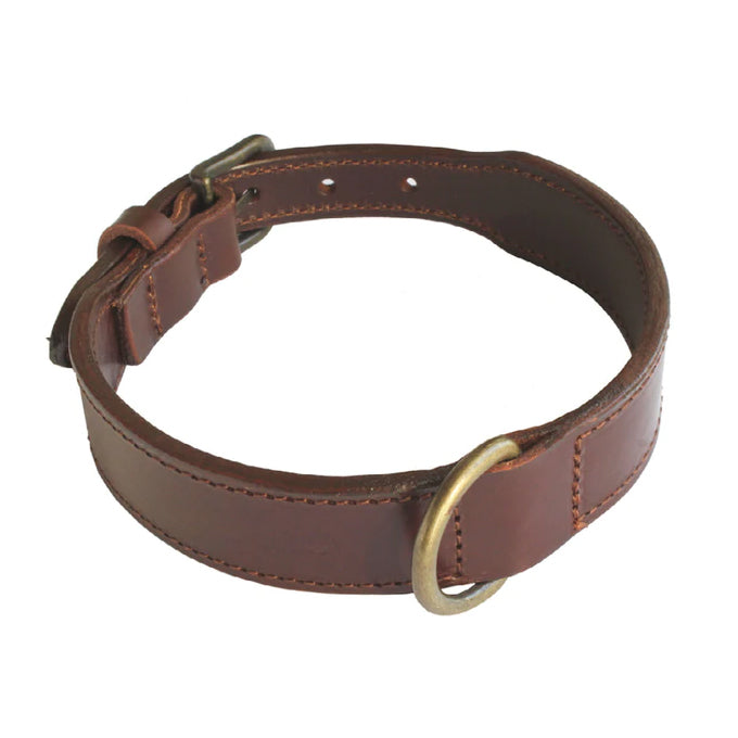 Hundehalsband für Jagdhunde