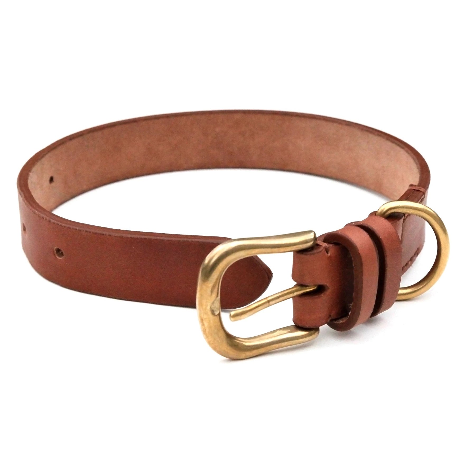 Hundehalsband für Jagdhunde