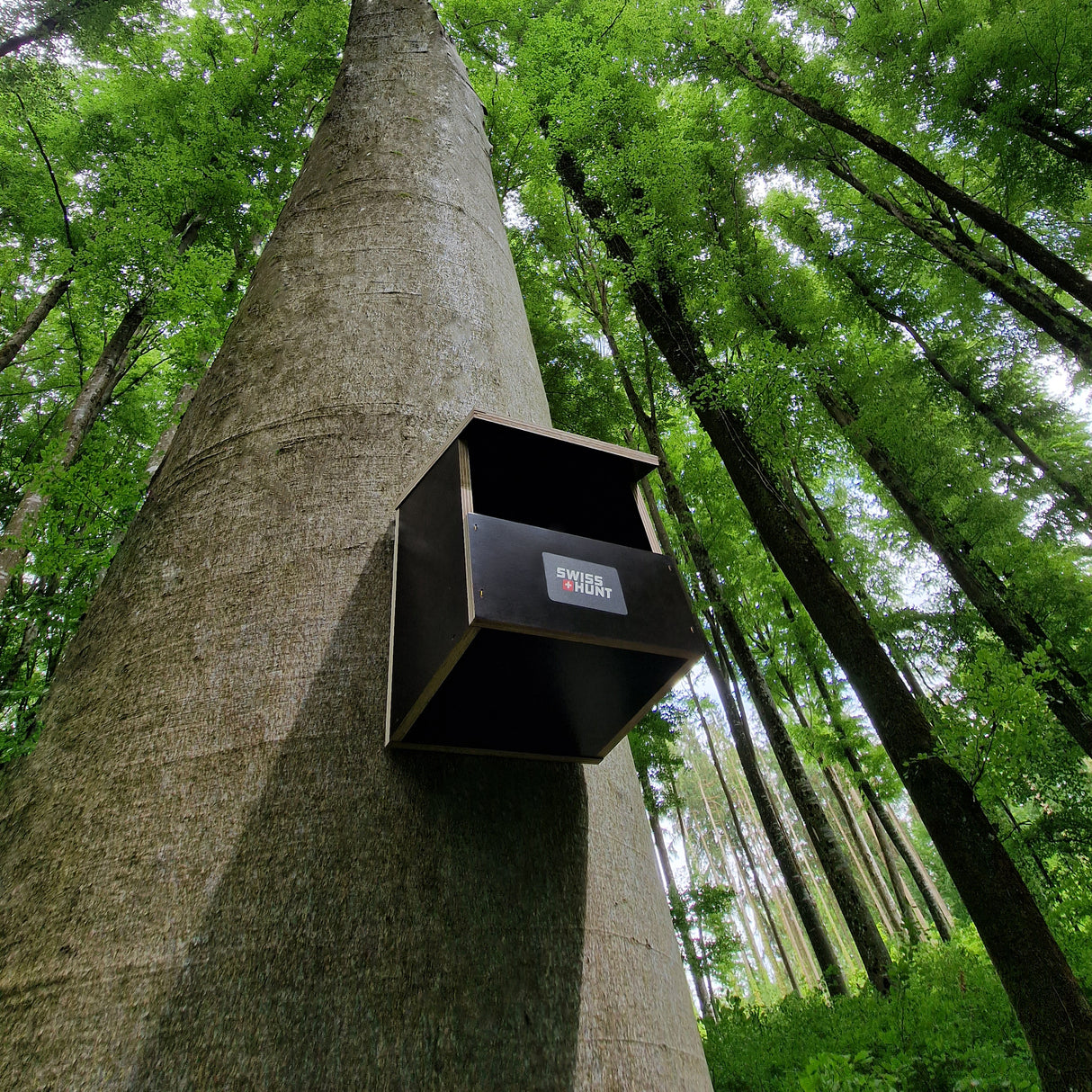 Nistkasten Halbhöhle