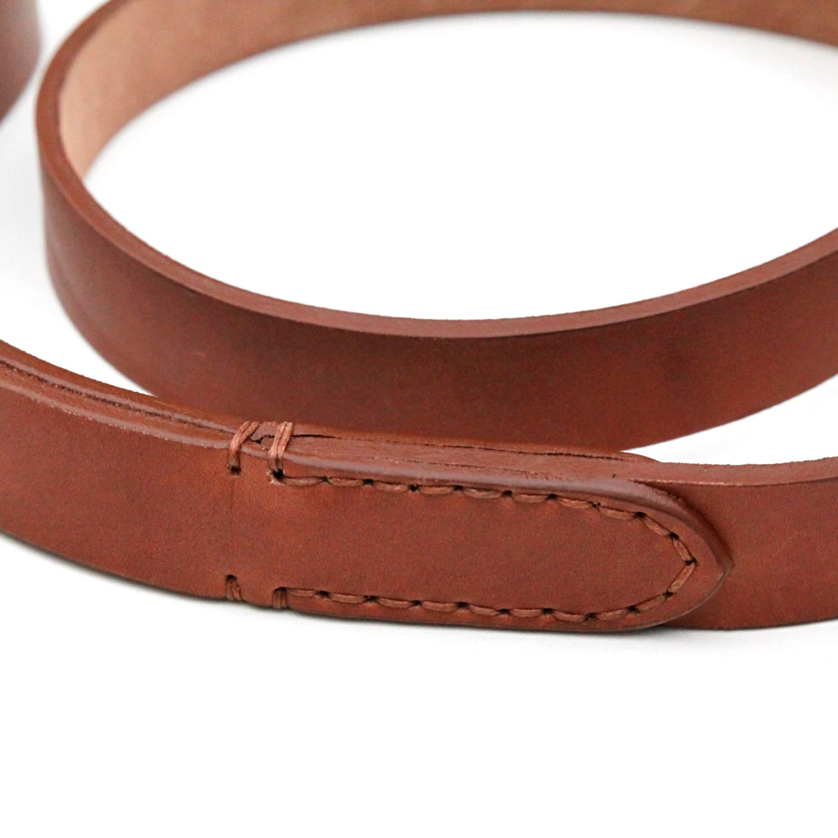 Hundeleine Führleine