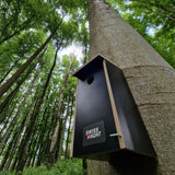 Nistkasten Höhlenbrüter