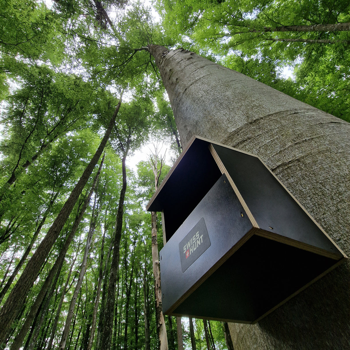 Nistkasten Halbhöhle