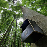 Nistkasten Halbhöhle