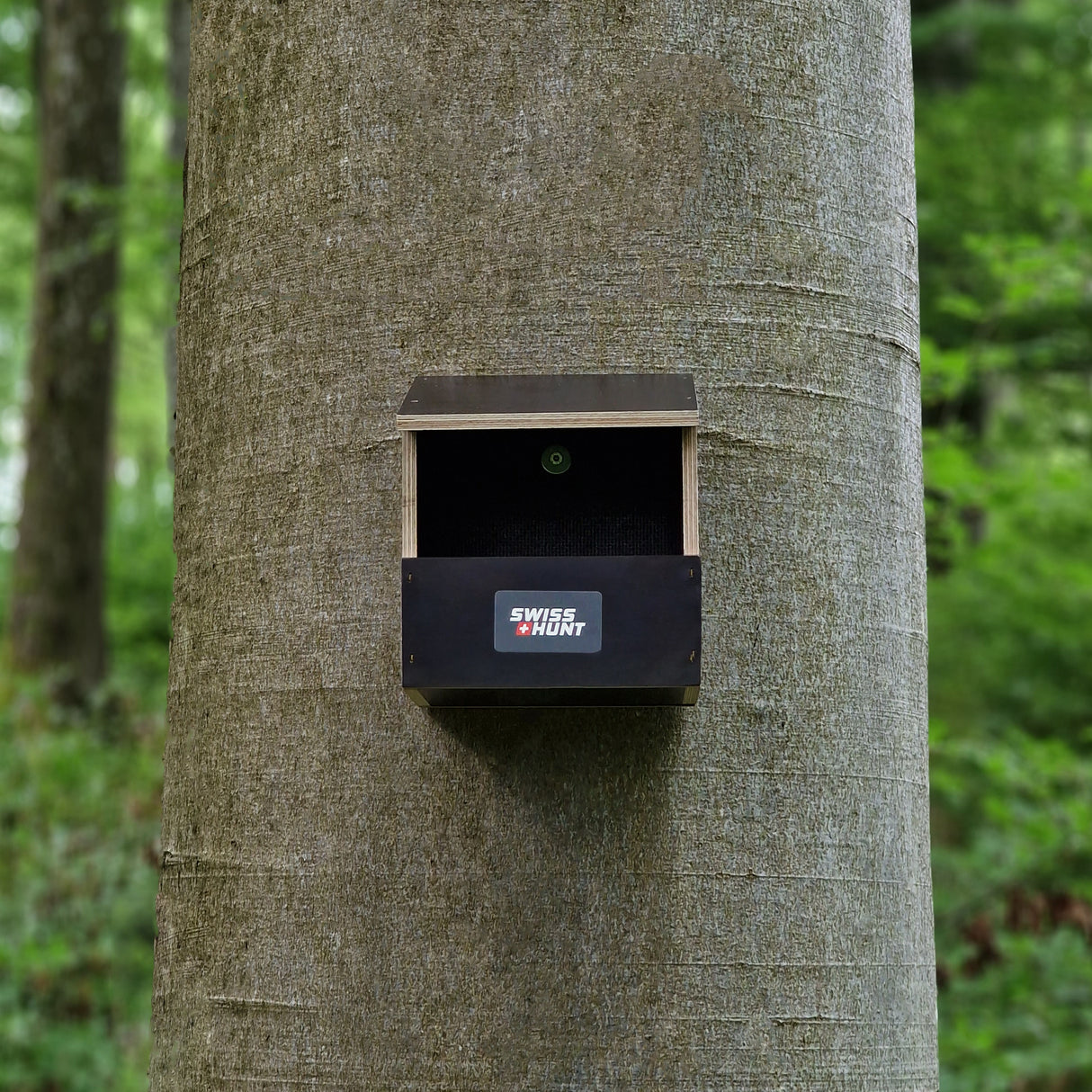 Nistkasten Halbhöhle